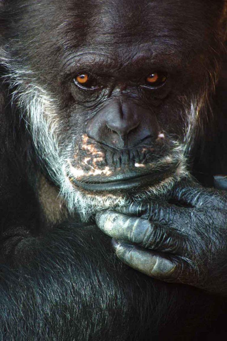 Zoo Karlsruhe