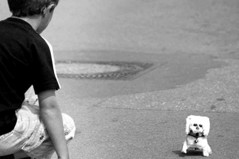 Streetlife Junge und Hund